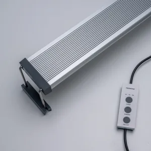 Twinstar Light B-Line III